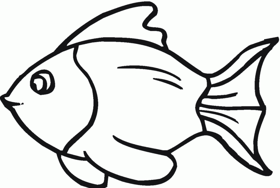 Fish Outline Drawing Clipart - Free to use Clip Art Resource