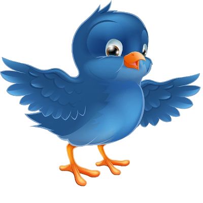 Cartoon Birds | How To Draw ...