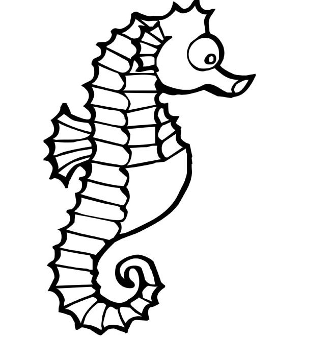 Seahorse Template - Animal Templates | Free & Premium Templates