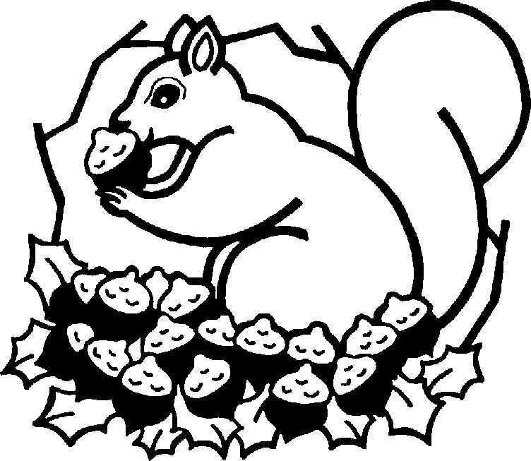 Squirrel Clipart Black And White - Free Clipart Images