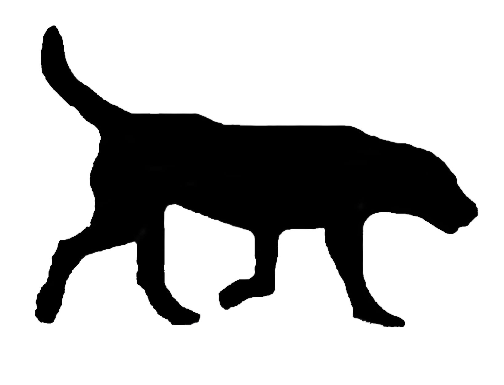 Running Lab Silhouette Silhouette woman
