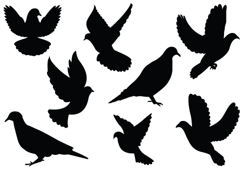 Flying Dove Clip Art