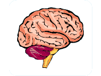 Brain Facts - Dialogue for Kids (Idaho Public Television)