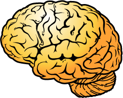 Human Brain Cartoon - ClipArt Best