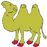 Wild Animals And Wild Animal Moving Animations