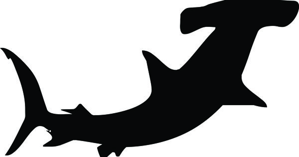 Sharks and Hammerhead shark