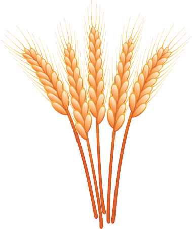 Wheat Free Clip Art Clip Art, Vector Images & Illustrations