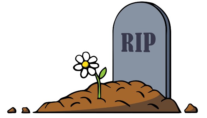Rip – BHAZ