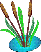 Clip art of flowers and buttons and dividers and medical graphics