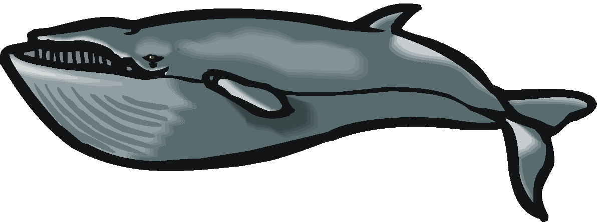 Humpback Whale Clipart - Free Clipart Images