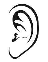Crash-Course-Ear-black-157x200.png