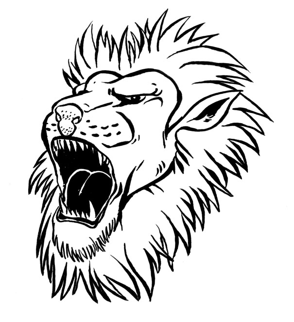 Lion Head Drawings Pencil Pictures
