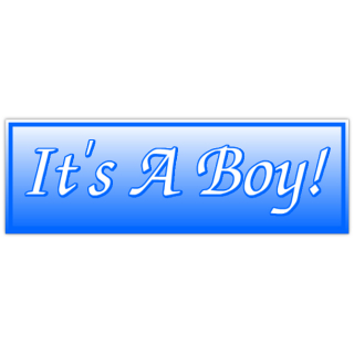 It's A Boy Banner 2 | Birthday Banner, Anniversary Banners ...