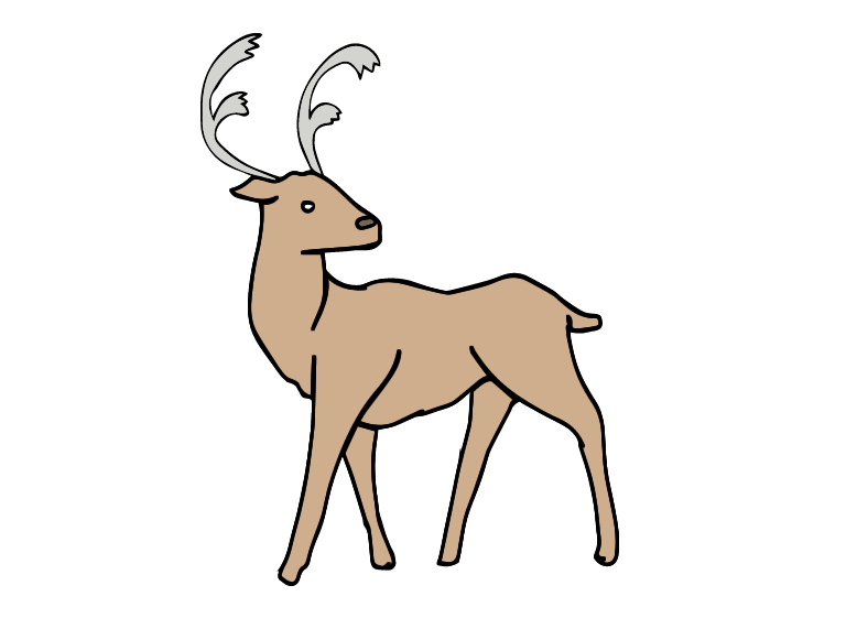 Ice Age - Jersey Heritage