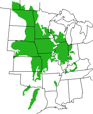Checklist of Online Vegetation and Plant Distribution Maps