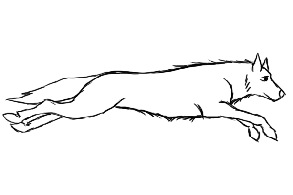 Running Wolf Animation Test 2