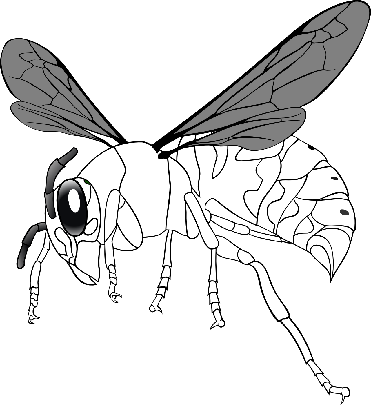 Bee Line Art - ClipArt Best