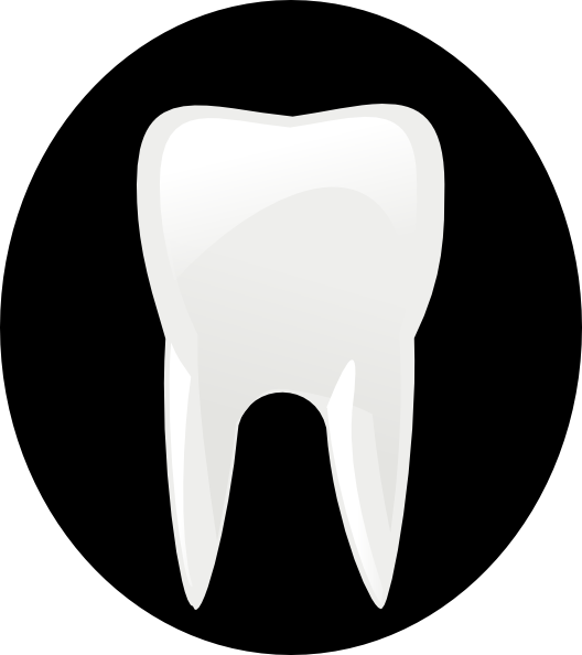 Tooth Molar clip art - vector clip art online, royalty free ...