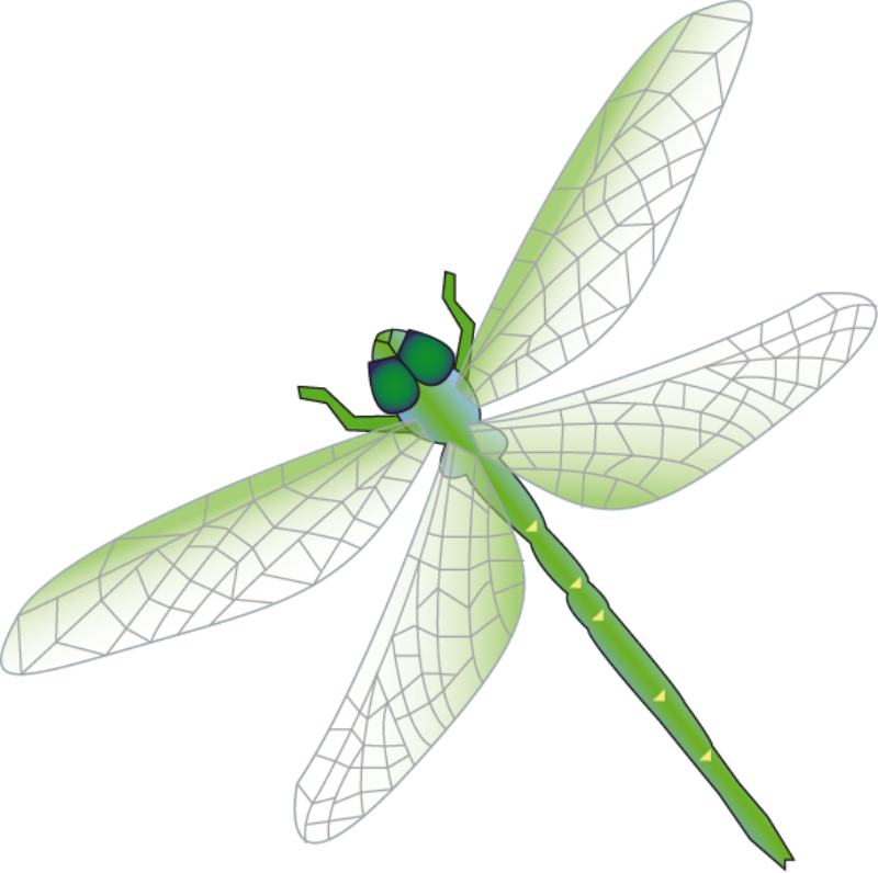 Dragonfly Vector | Free Download Clip Art | Free Clip Art | on ...