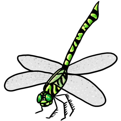 Dragonfly Clipart Black And White - Free Clipart ...
