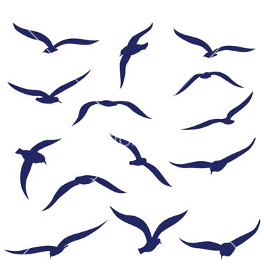 Seagull Tattoo | Tattoos, Eagle ...