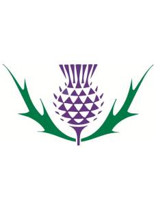 Thistle Logo - ClipArt Best