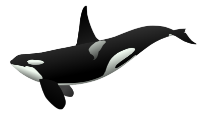 Animated Whale