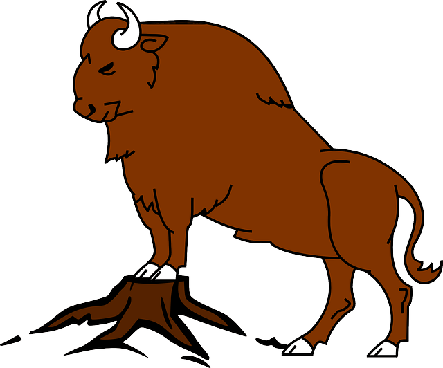 ANIMALS, BISON, VECTORS, ANIMAL, VECTOR - Public Domain Pictures ...