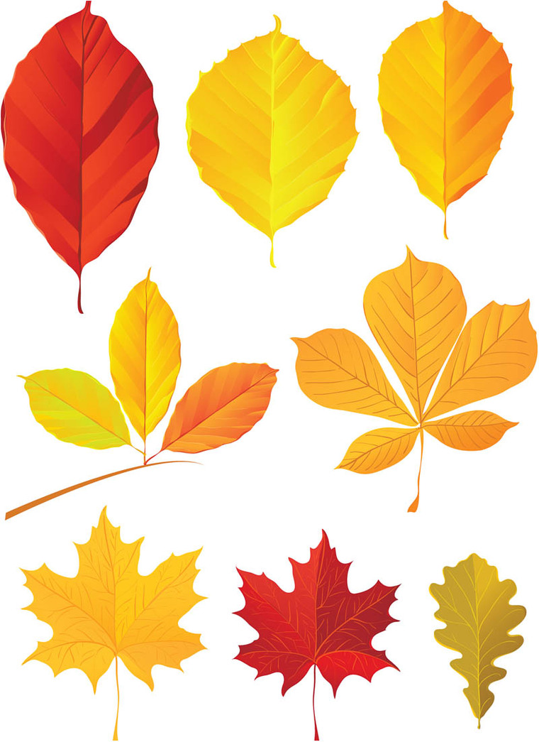 Yellow Fall Leaves Vector Clipart - Free to use Clip Art Resource