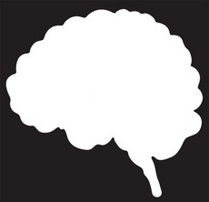 Empty Brain Diagram | Free Photos