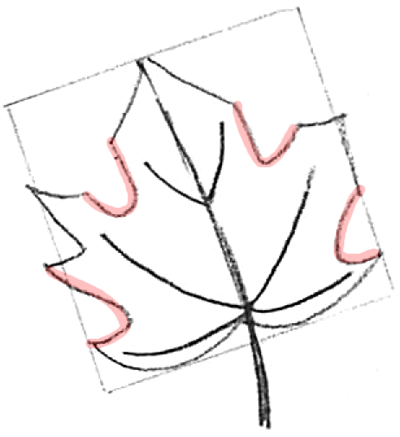 How to Draw Maple Leaves - Easy Leaf step by step drawing lesson ...