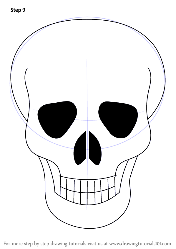 Learn How to Draw Skull Easy (Skulls) Step by Step : Drawing Tutorials