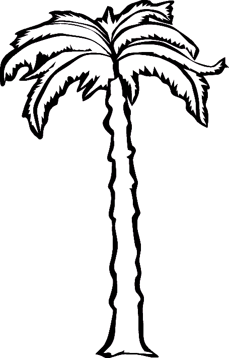 Coconut tree clipart black and white