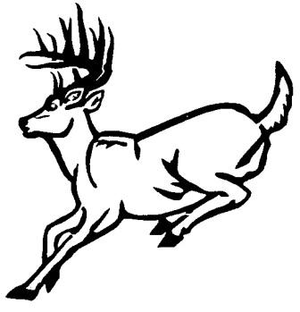 Buck Jumping Clipart