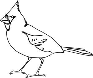 Cardinal Outline clip art - vector clip art online, royalty free ...
