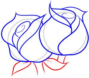 Flowers - How to Draw Roses for Kids