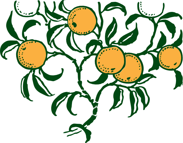 Orange Branch clip art - vector clip art online, royalty free ...