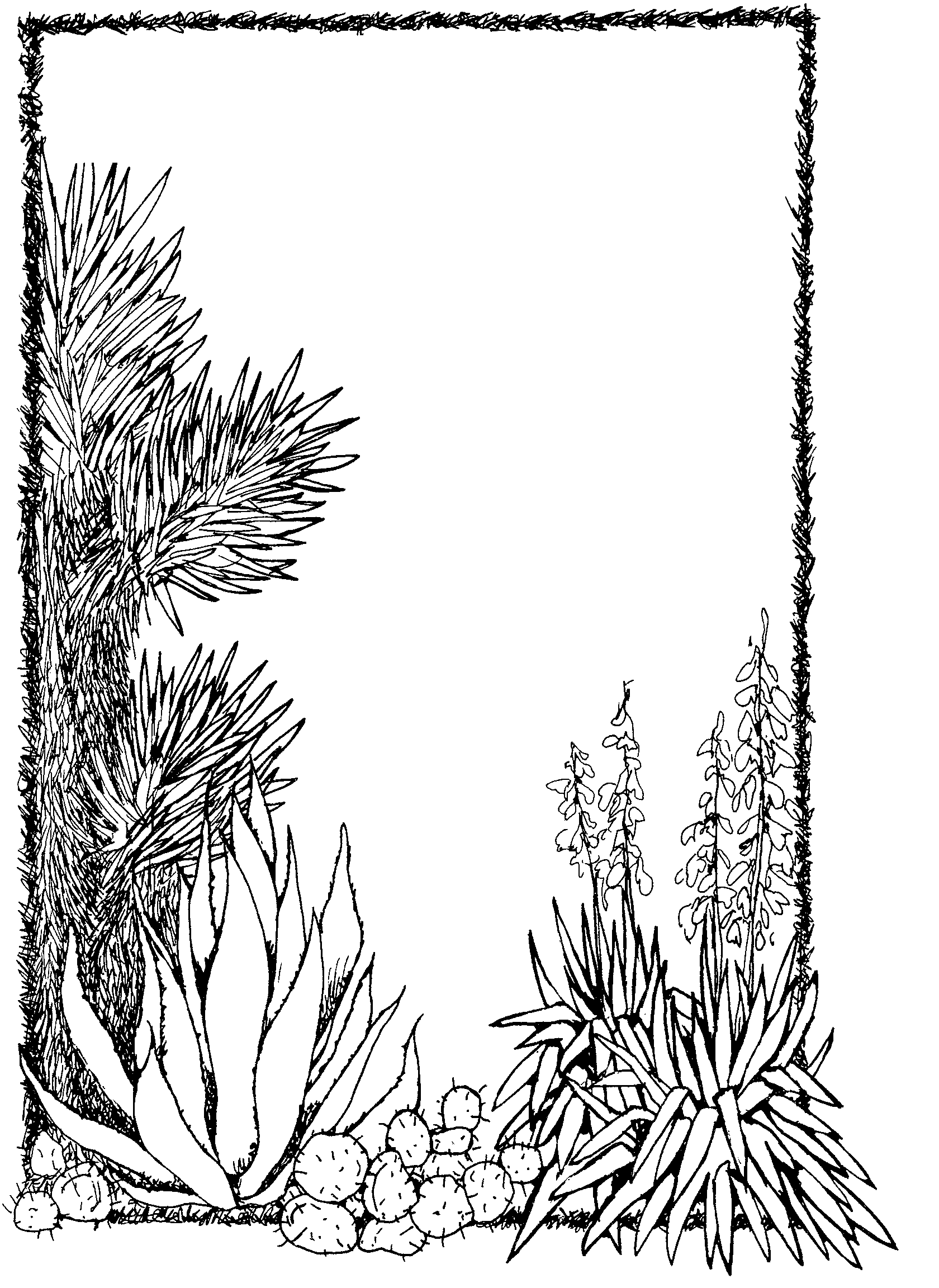 Desert Plants | Mormon Share
