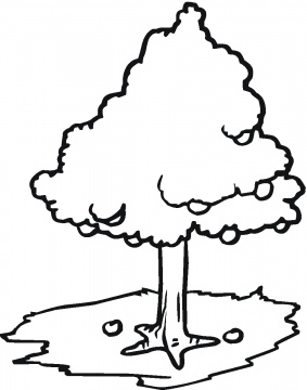 Apple Tree coloring pages | Super Coloring