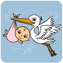 naturalmath - Birds and learning