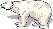 Polar Bear Fact Sheet - TREC Virtual Base Camp
