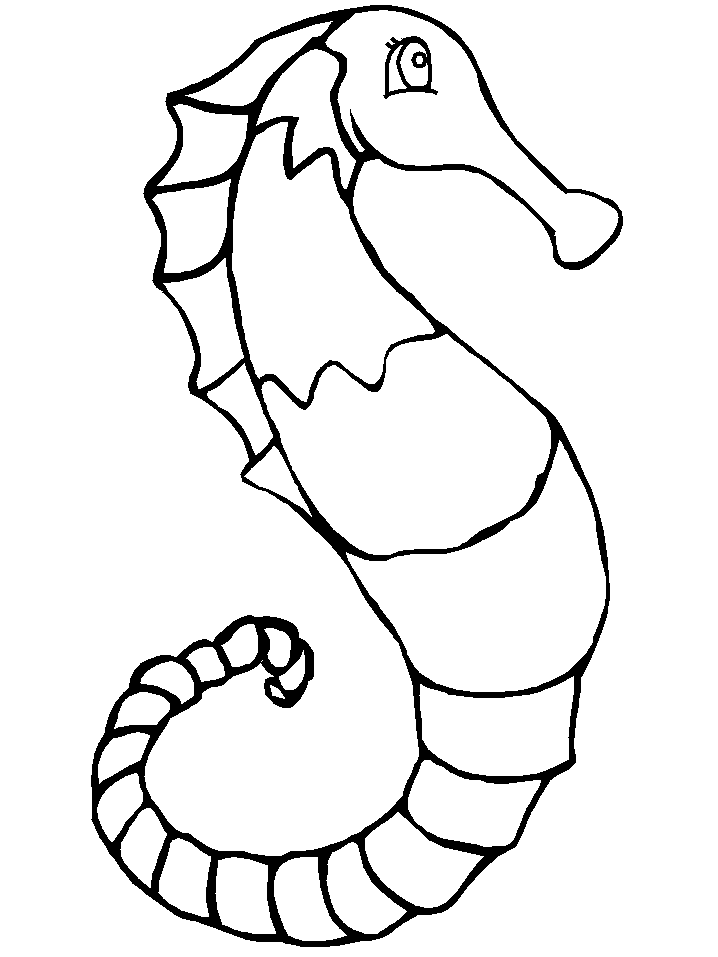 ocean seahorse animals coloring pages book
