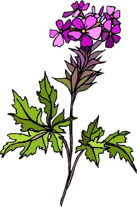ArtbyJean - Paper Crafts: CLIP ART FLOWERS - Pretty flowers for ...