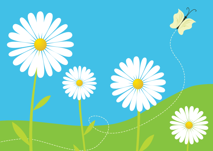 Free Vector: Daisy Flowers | Tuts King