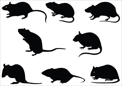 Rat Silhouette Clip Art Pack
