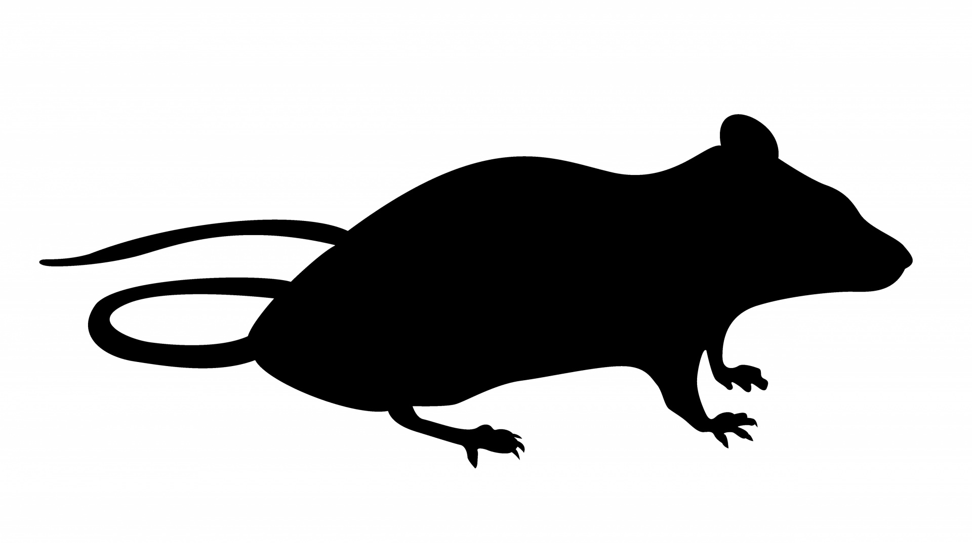 Silhouette Rat Images - Public Domain Pictures - Page 1