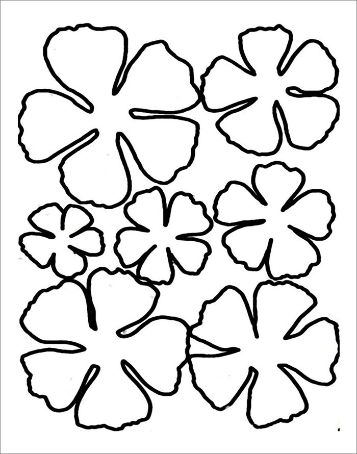 Flower Template - Free Templates | Free & Premium Templates