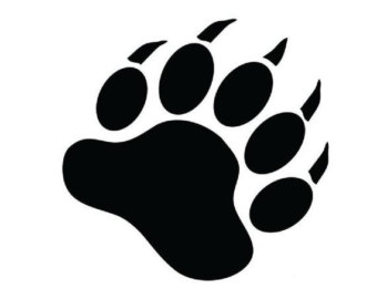 bear claw – Etsy