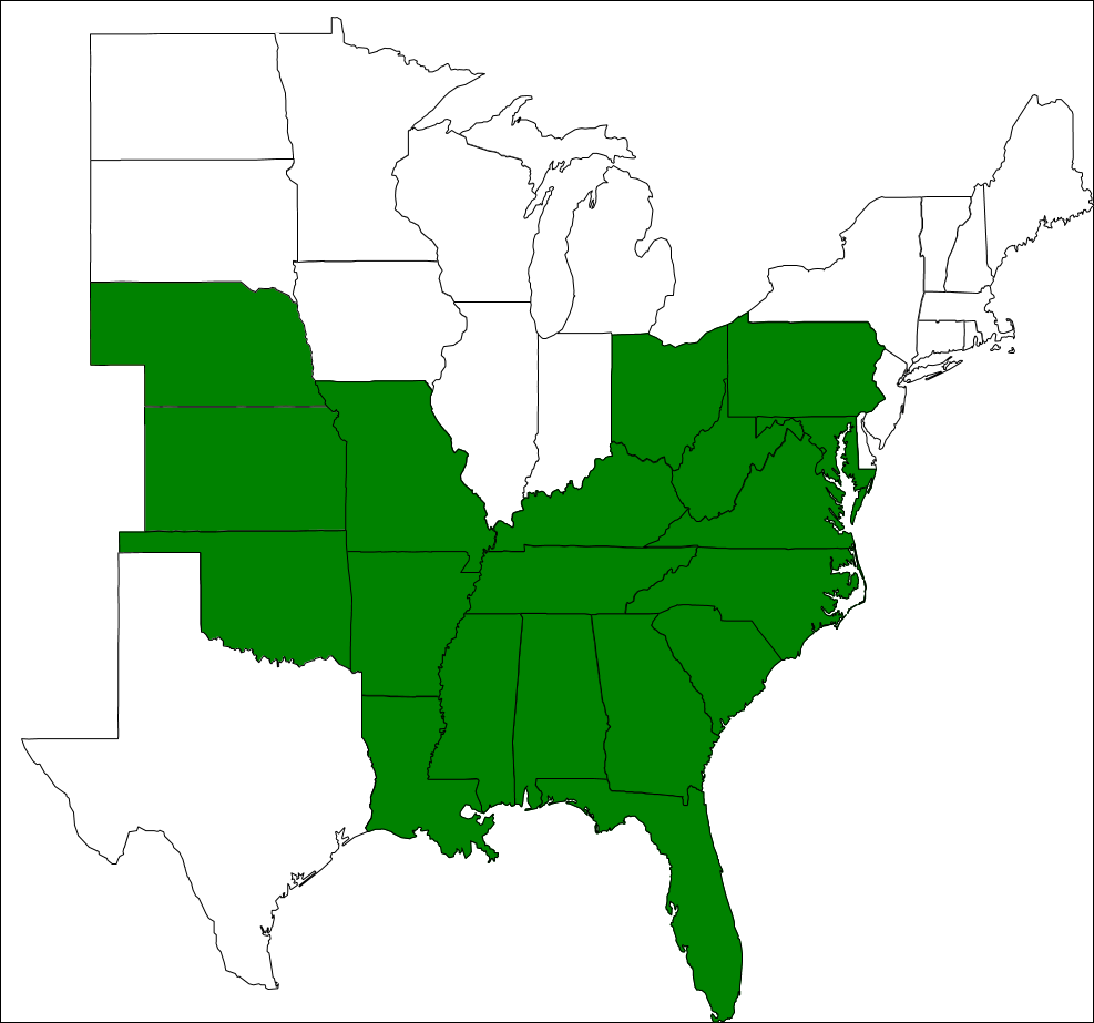 Southeastern Cooperative Wildlife Disease Study | Department of ...