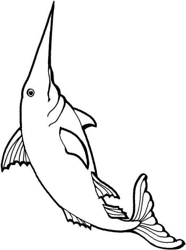 Long Bill Swordfish Coloring Page | Color Luna